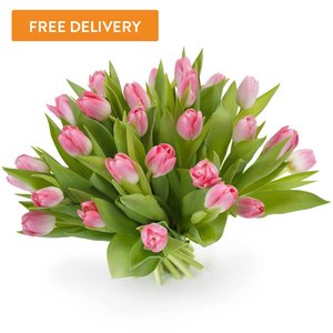25 Tulipanów Różowych