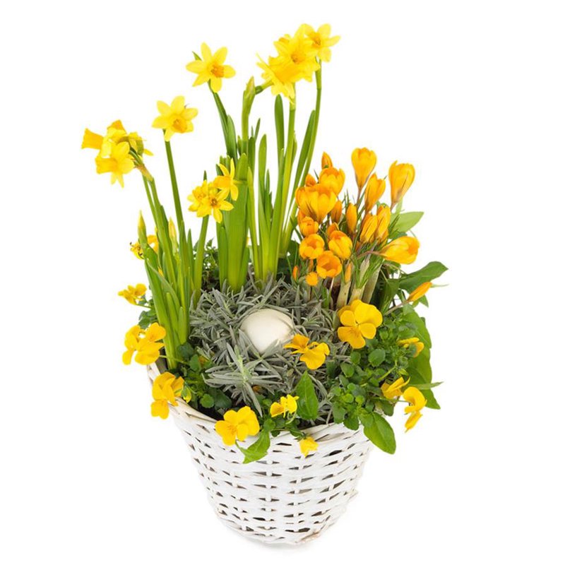 Koszyczek Wielkanocny